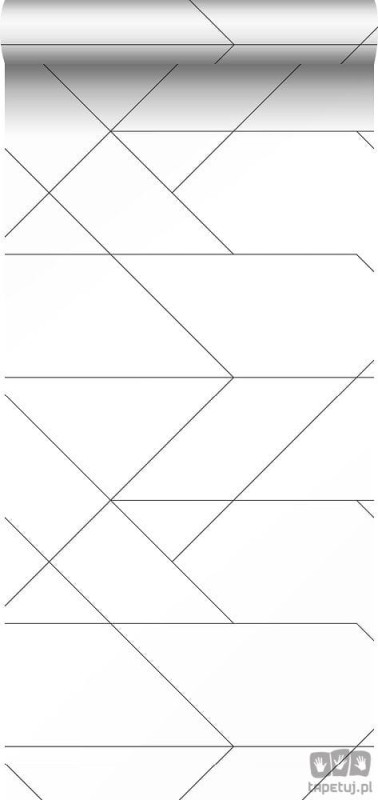 Biała tapeta w czarne linie wzór geometryczny flizelina