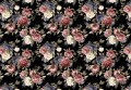 Fototapeta Kwiaty 12577