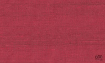 Paleo 50502 tapeta ścienna Arte