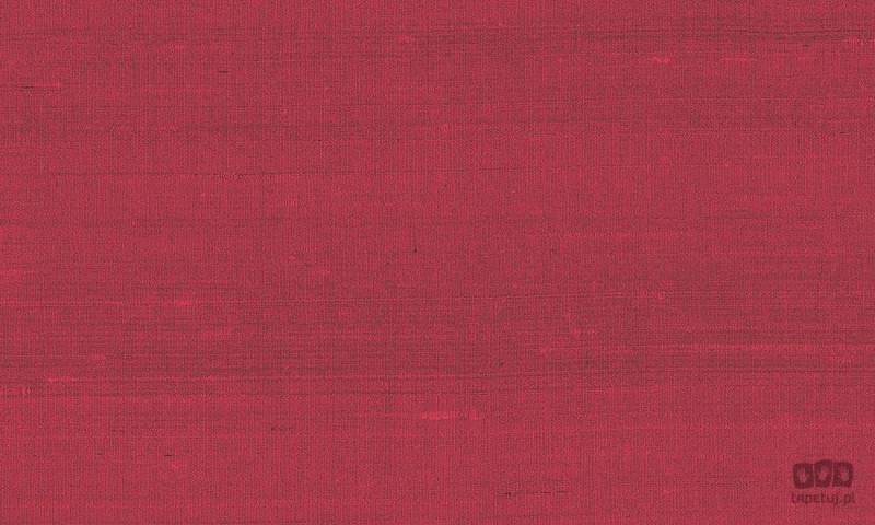 Paleo 50502 tapeta ścienna Arte