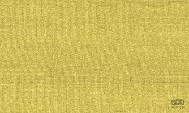 Paleo 50507 tapeta ścienna Arte