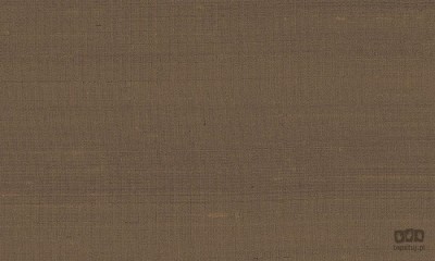 Paleo 50508 tapeta ścienna Arte