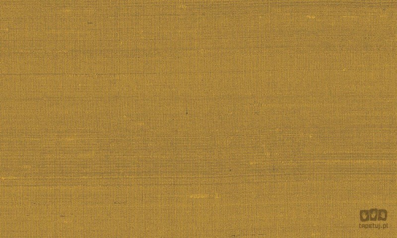 Paleo 50509 tapeta ścienna Arte
