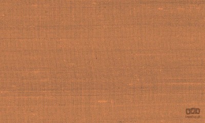 Paleo 50514 tapeta ścienna Arte