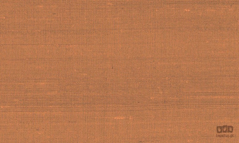 Paleo 50514 tapeta ścienna Arte