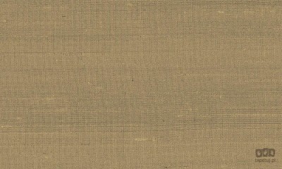 Paleo 50515 tapeta ścienna Arte