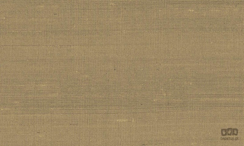 Paleo 50515 tapeta ścienna Arte