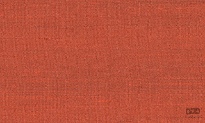 Paleo 50517 tapeta ścienna Arte