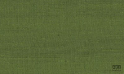 Paleo 50519 tapeta ścienna Arte