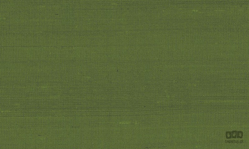 Paleo 50519 tapeta ścienna Arte
