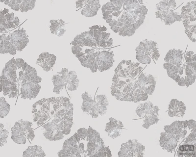 Fototapeta Foglia Dust