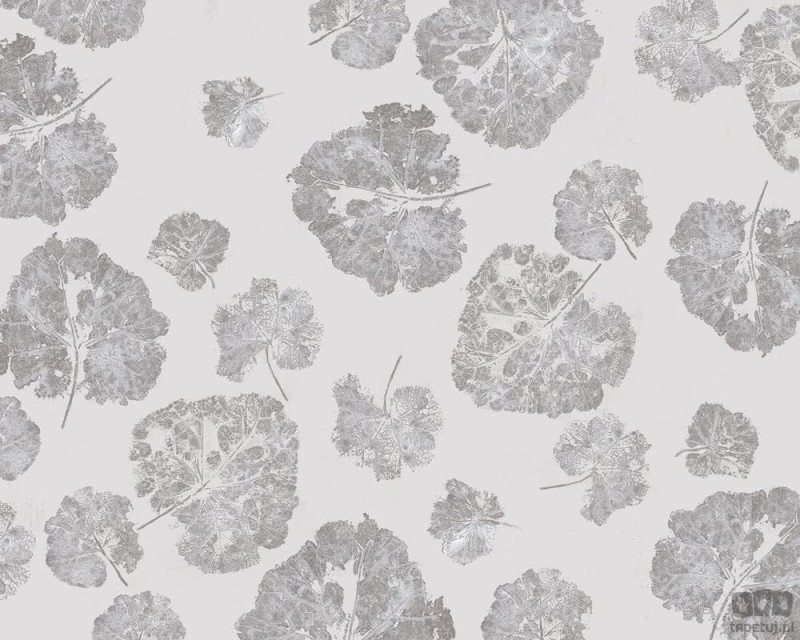 Fototapeta Foglia Dust
