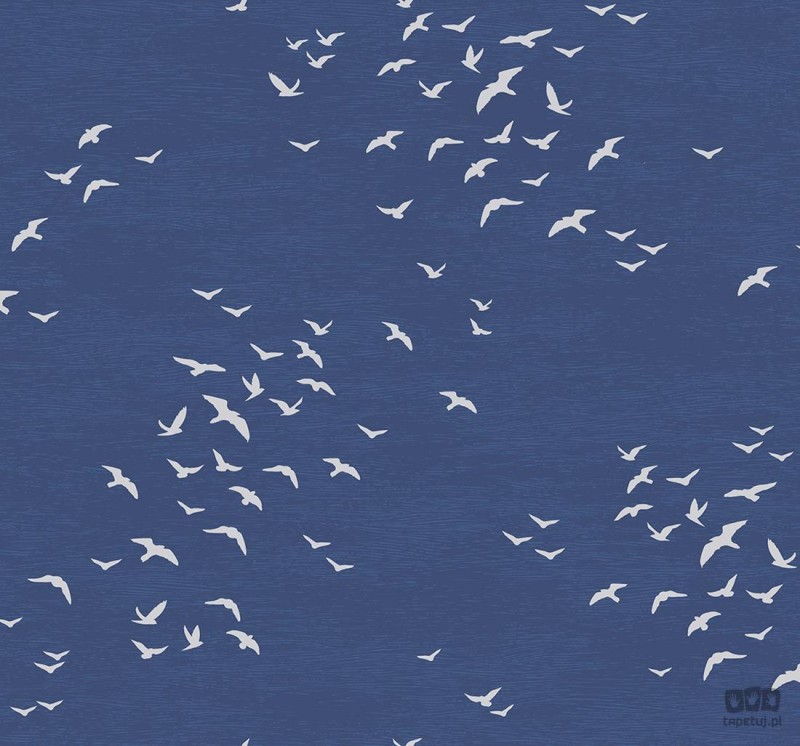 Navy, Grey & White BL70412 tapeta ścienna Wallquest