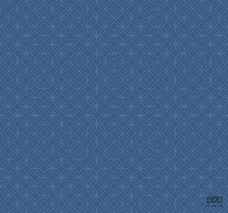 Navy, Grey & White BL71212 tapeta ścienna Wallquest