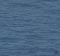 Navy, Grey & White BL71322 tapeta ścienna Wallquest