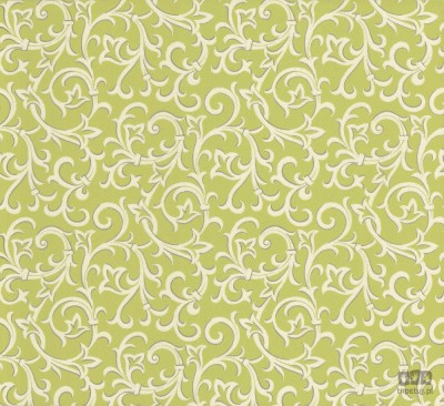 Avington 1602-103-05 tapeta ścienna 1838 Wallcoverings