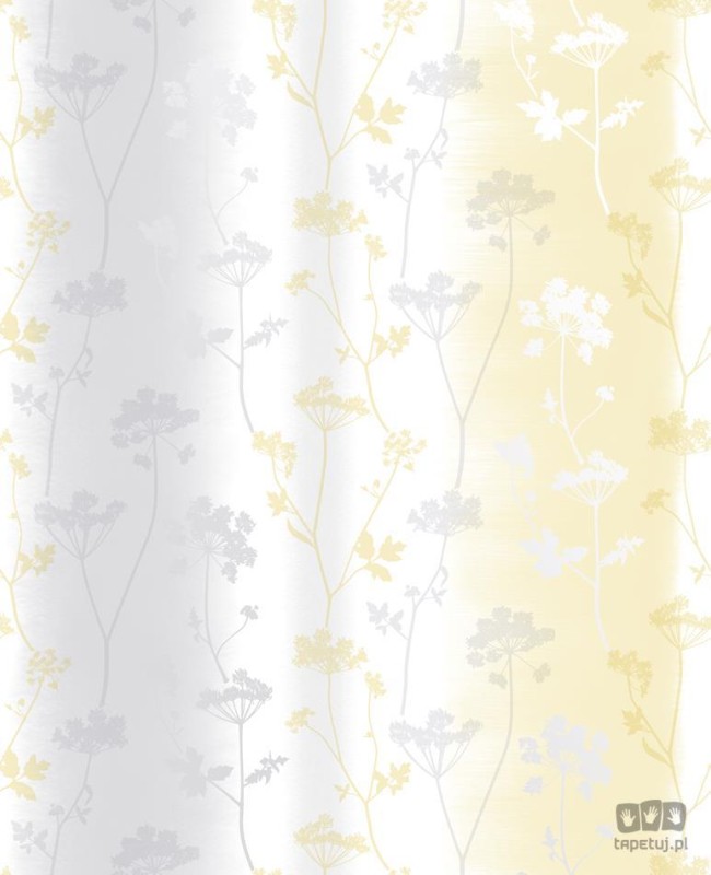 Tapeta papierowa w kolorowe kwiaty