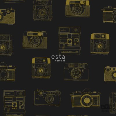 Tapeta na flizelinie w aparaty fotograficzne czerń i złoto