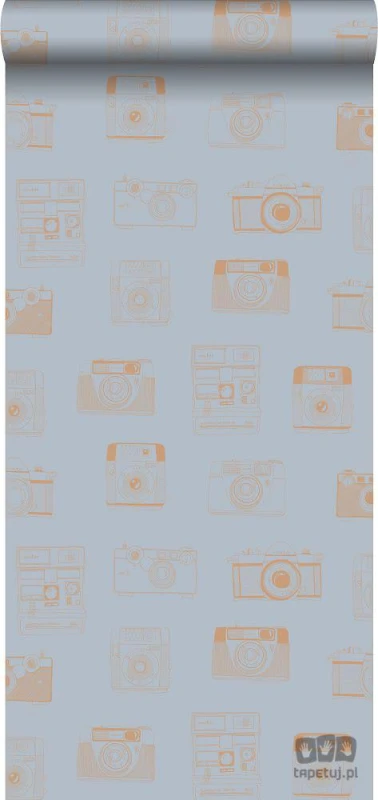Tapeta na flizelinie w aparaty fotograficzne niebieski i złoto