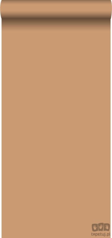 Tapeta na flizelinie gładka brązowa