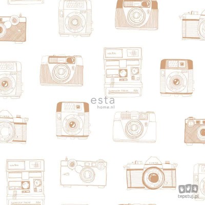 Tapeta na flizelinie w aparaty fotograficzne biel i złoto