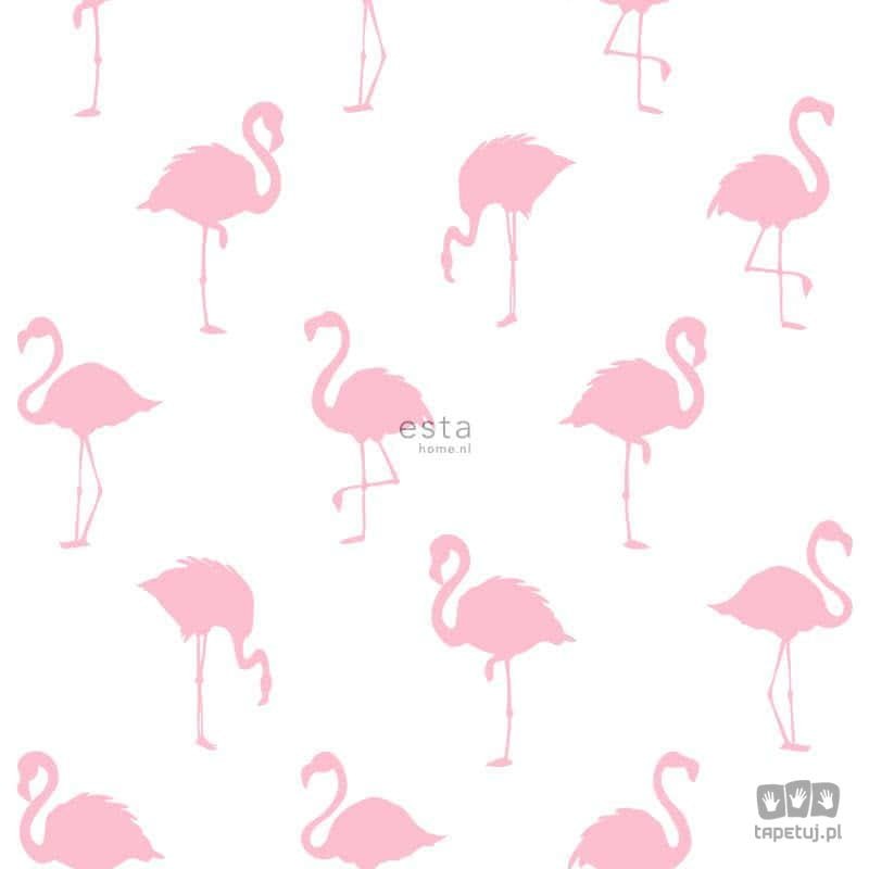 Biała tapeta na flizelinie w różowe flamingi nowoczesna
