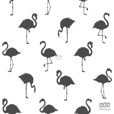 Czarno-biała tapeta na flizelinie w flamingi nowoczesna