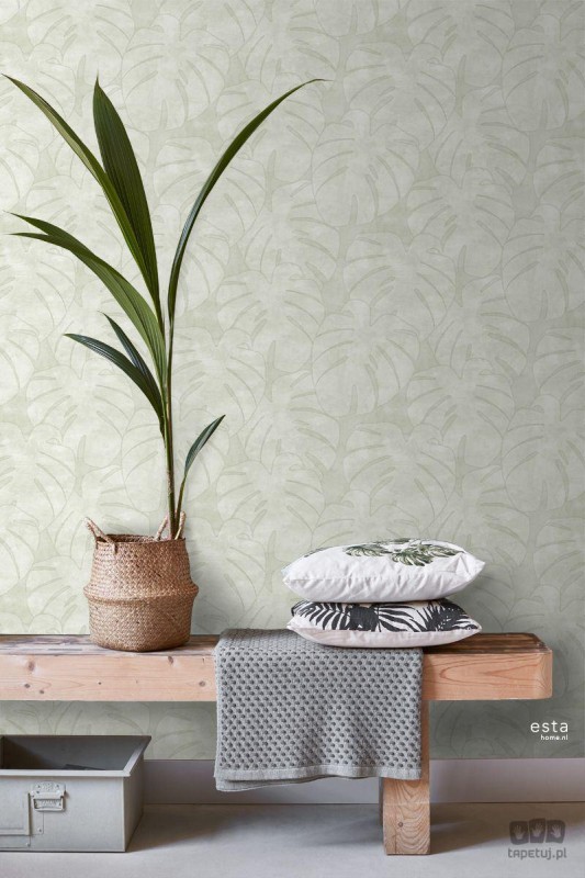 Zielona tapeta na flizelinie w liście monstera tropikalna