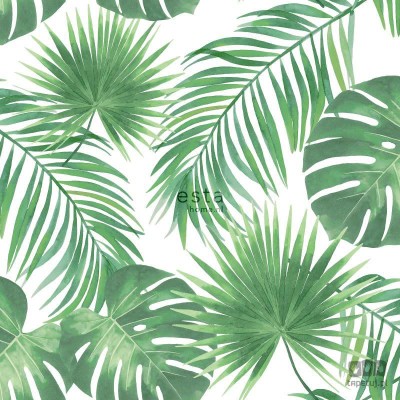 Biało-zielona tapeta na flizelinie w tropikalne liście monstera palmy