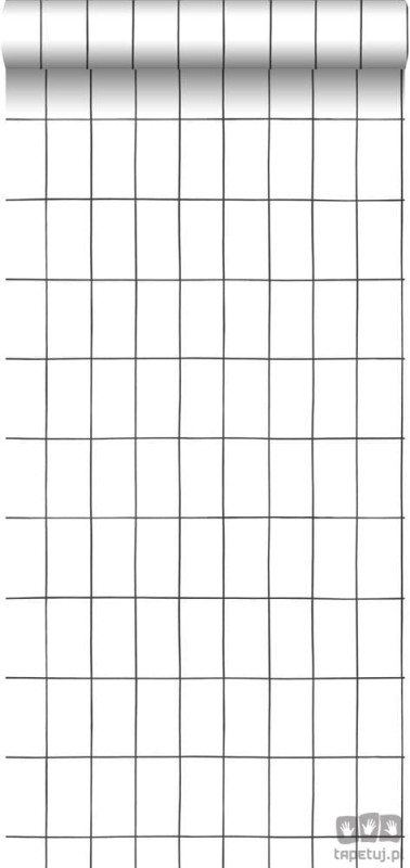 Biała tapeta w kratkę wzór geometryczny prostokąty