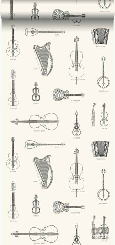 Biała tapeta z ilustracjami instrumentów