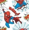 Tapeta papierowa ze Spidermanem