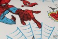 Tapeta papierowa ze Spidermanem