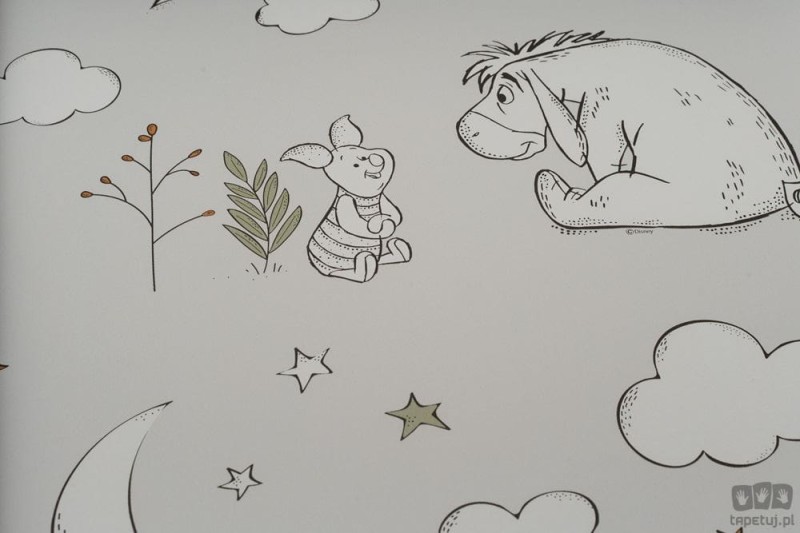 Tapeta papierowa z Kubusiem Puchatkiem i przyjaciółmi