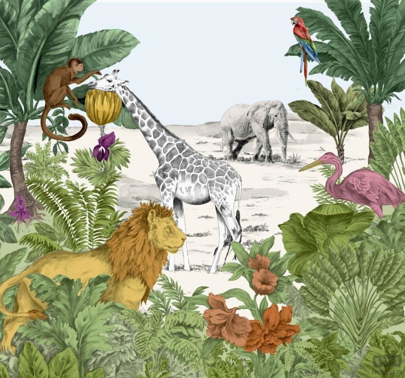 Kolorowa fototapeta na flizelinie zwierzęta safari