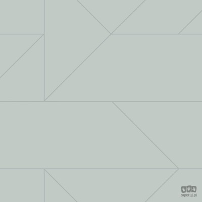 Zielona tapeta w srebrne linie wzór geometryczny