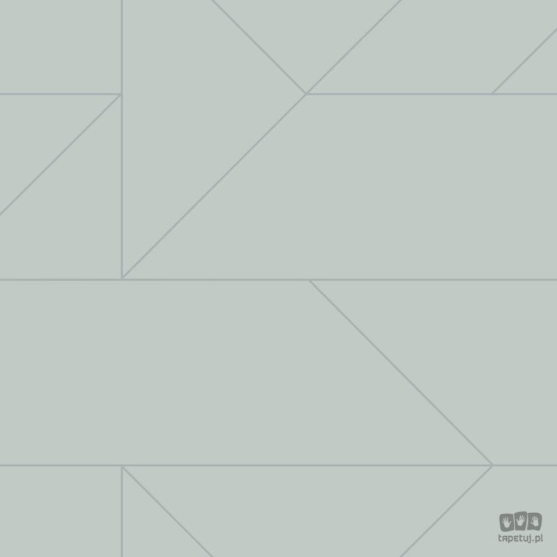 Zielona tapeta w srebrne linie wzór geometryczny