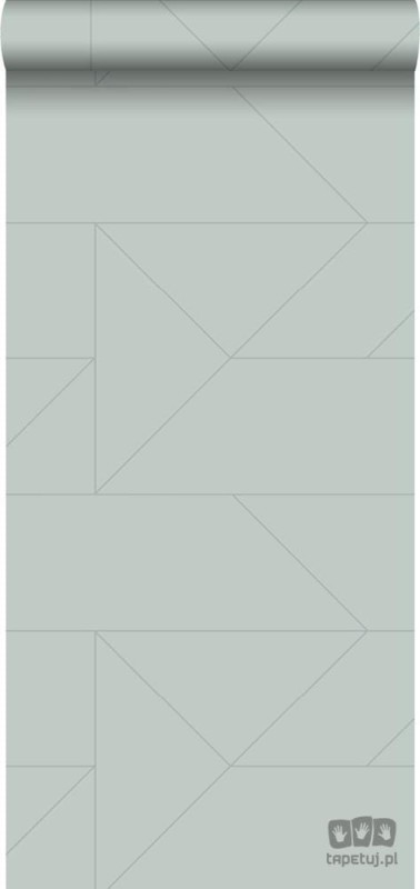 Zielona tapeta w srebrne linie wzór geometryczny