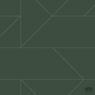 Zielona tapeta w srebrny wzór geometryczny