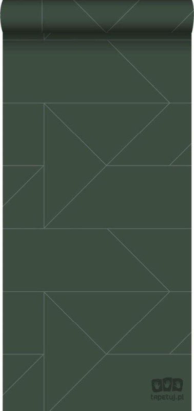 Zielona tapeta w srebrny wzór geometryczny