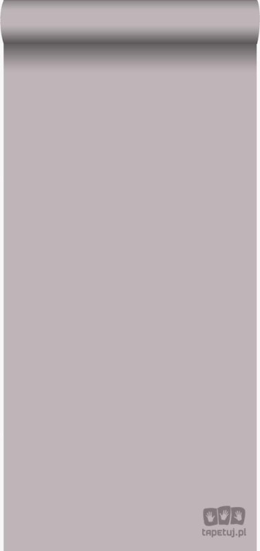 Mariska Meijers 346609 tapeta ścienna Origin