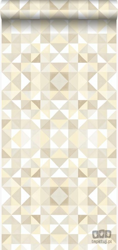 Mariska Meijers 346907 tapeta ścienna Origin