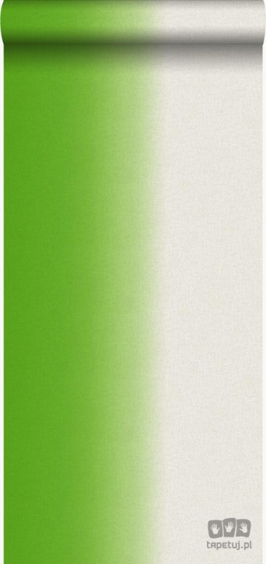 Mariska Meijers 346935 tapeta ścienna Origin