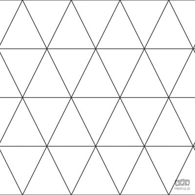 Biała tapeta z linearnym czarnym geometrycznym wzorem