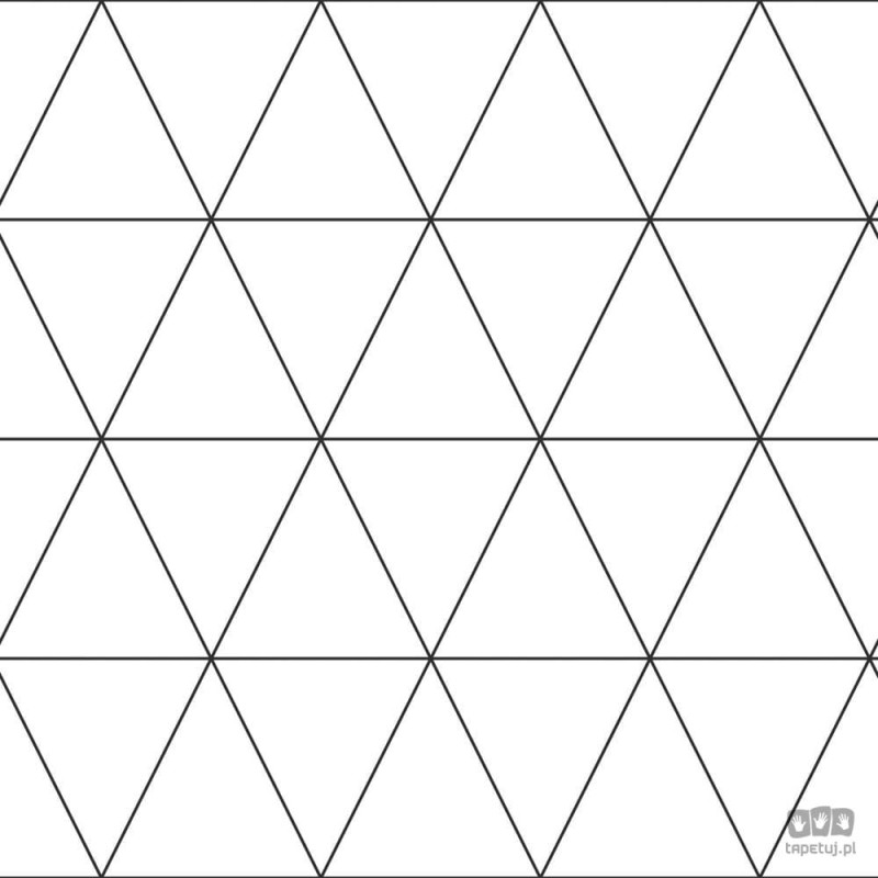 Biała tapeta z linearnym czarnym geometrycznym wzorem
