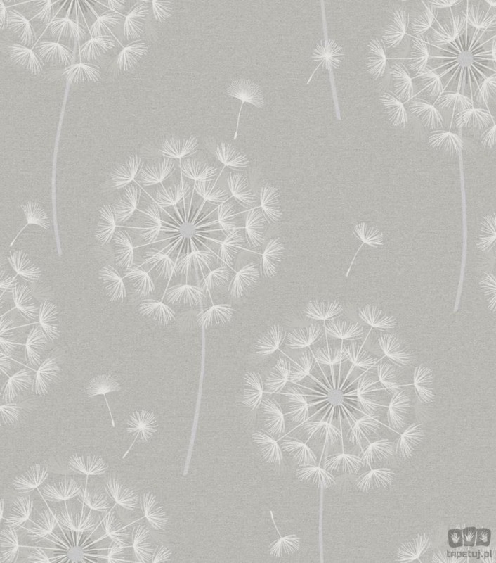 Szaro-srebrna tapeta w dmuchawce Holden Alocasia