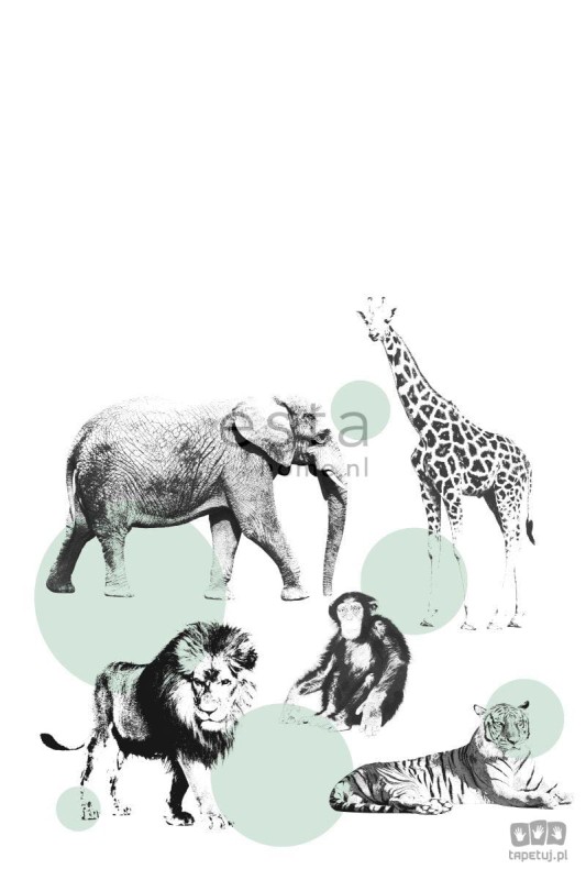Fototapeta zwierzaki safari