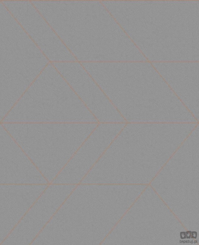 Szara tapeta z geometrycznym wzorem