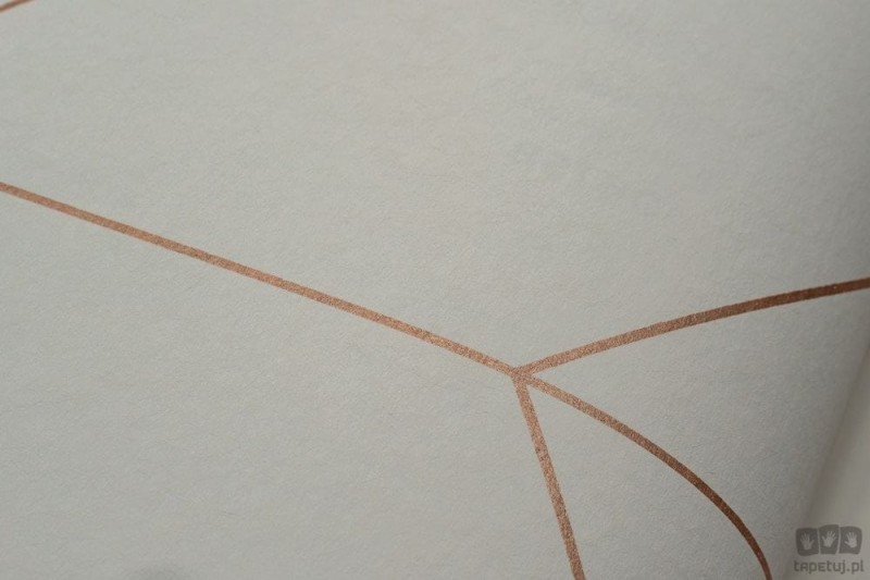 Szara tapeta z geometrycznym wzorem