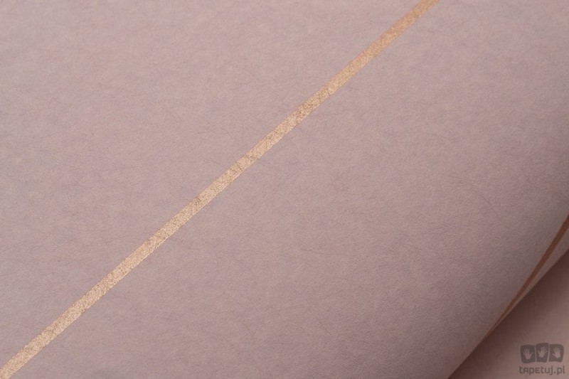 Pudrowy róż tapeta z geometrycznym linearnym złotym akcentem